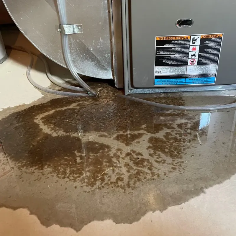 Pipe Burst and Leak Restoration in Waldo County, ME